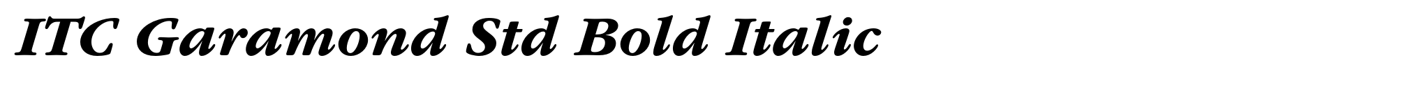 ITC Garamond Std Bold Italic image